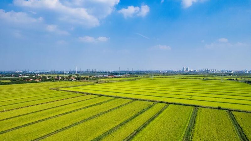 生態(tài)農(nóng)業(yè)設(shè)備：助力綠色種植的未來(lái)之星