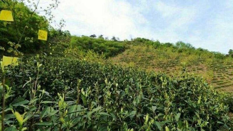 生鮮配送資質(zhì)辦理流程全解析